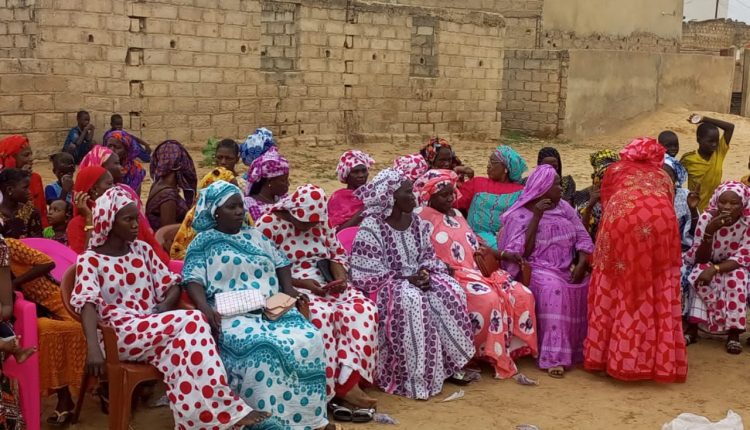 D913C350-D91B-4D7A-AD97-97C065E00CB9